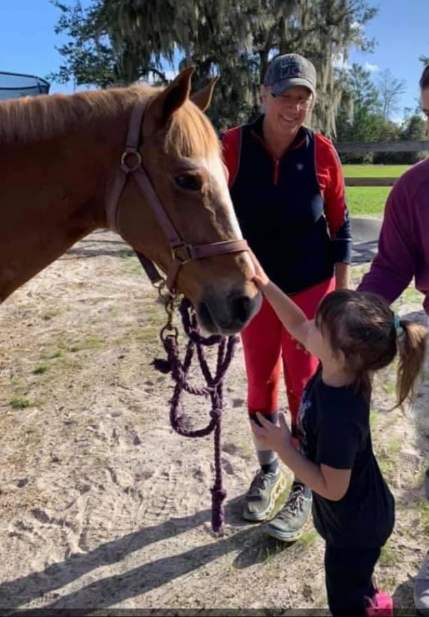 Debbie Natarella horseback riding instructor with a new rider meeting her first horse at Amazing Grace Equestrian in Bradenton FL.